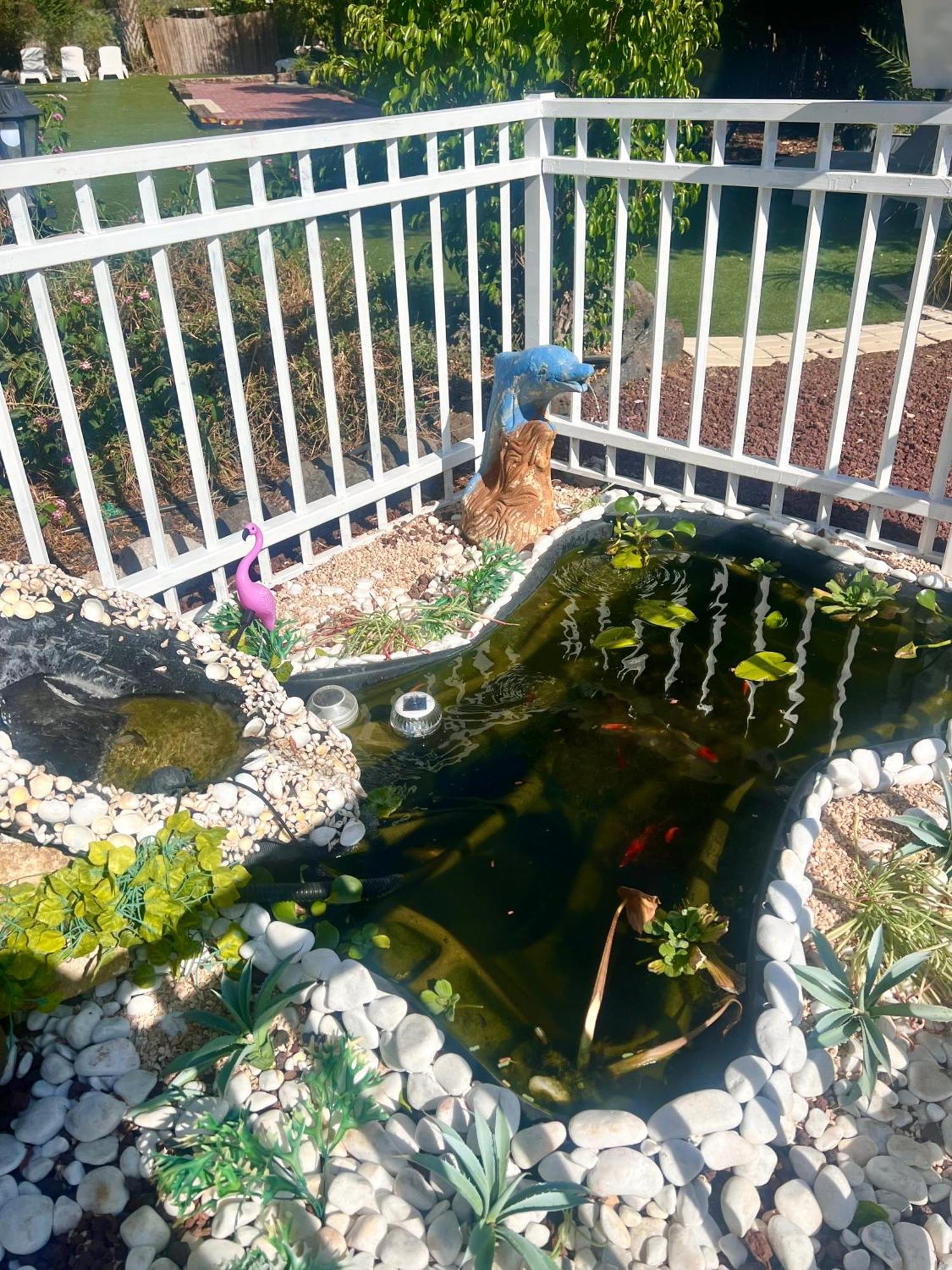 谢莫纳城 Magical In The Galilee汽车旅馆 外观 照片