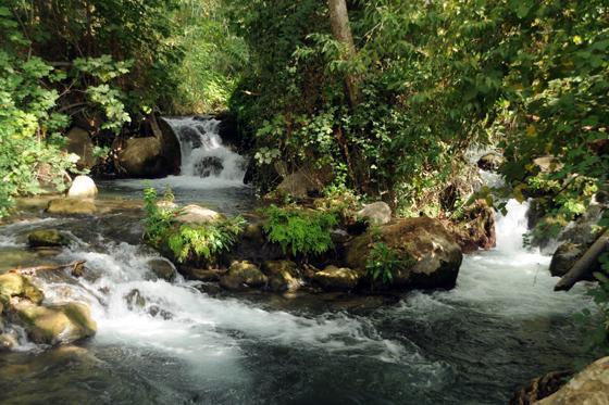 谢莫纳城 Magical In The Galilee汽车旅馆 外观 照片